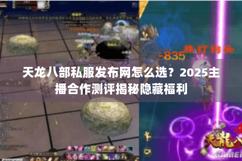 天龙八部私服发布网怎么选?2025主播合作测评揭秘隐藏福利 天龙八部私服发布网怎么选?2025主播合作测评揭秘隐藏福利
