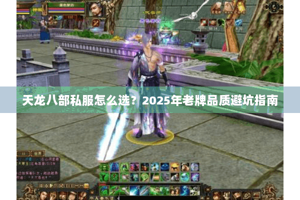 天龙八部私服怎么选?2025年老牌品质避坑指南 天龙八部私服怎么选?2025年老牌品质避坑指南