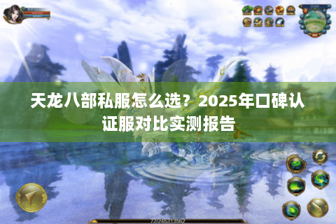 天龙八部私服怎么选?2025年口碑认证服对比实测报告 天龙八部私服怎么选?2025年口碑认证服对比实测报告
