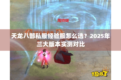 天龙八部私服经验服怎么选？2025年三大版本实测对比