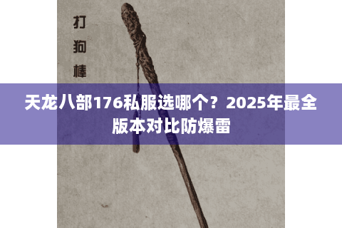 天龙八部176私服选哪个？2025年最全版本对比防爆雷