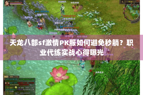 天龙八部sf激情PK服如何避免秒躺?职业代练实战心得曝光 天龙八部sf激情PK服如何避免秒躺?职业代练实战心得曝光
