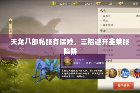 天龙八部私服有保障,三招避开韭菜服陷阱 天龙八部私服有保障,三招避开韭菜服陷阱