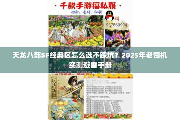 天龙八部SF经典区怎么选不踩坑?2025年老司机实测避雷手册 天龙八部SF经典区怎么选不踩坑?2025年老司机实测避雷手册