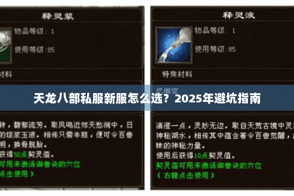 天龙八部私服新服怎么选?2025年避坑指南 天龙八部私服新服怎么选?2025年避坑指南