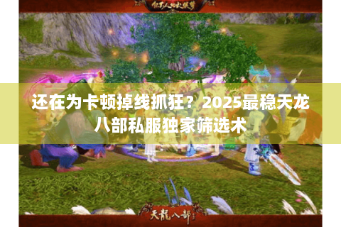 还在为卡顿掉线抓狂？2025最稳天龙八部私服独家筛选术
