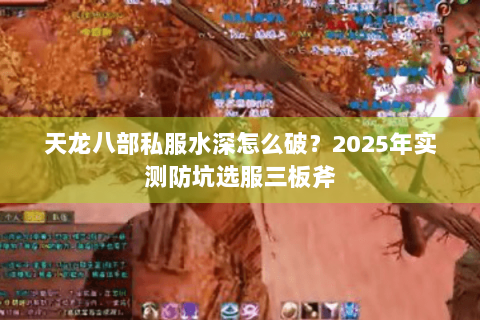 天龙八部私服水深怎么破？2025年实测防坑选服三板斧
