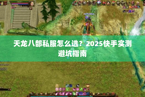 天龙八部私服怎么选？2025快手实测避坑指南