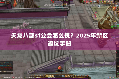 天龙八部sf公会怎么挑？2025年新区避坑手册