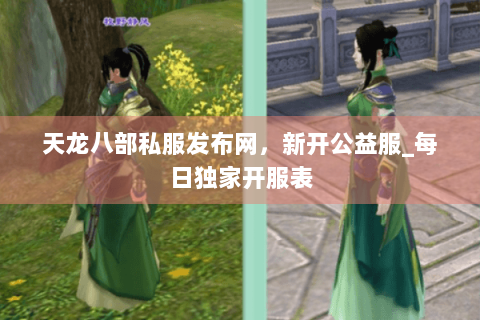 天龙八部私服发布网,新开公益服_每日独家开服表 天龙八部私服发布网,新开公益服_每日独家开服表