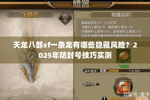 天龙八部sf一条龙有哪些隐藏风险？2025年防封号技巧实测