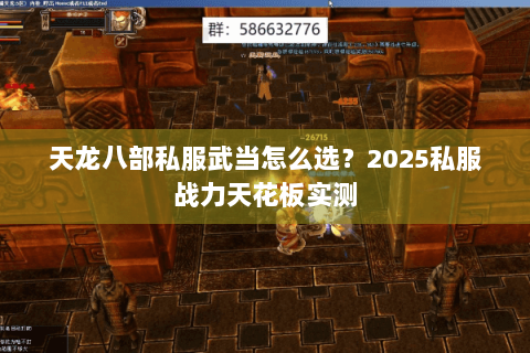 天龙八部私服武当怎么选？2025私服战力天花板实测