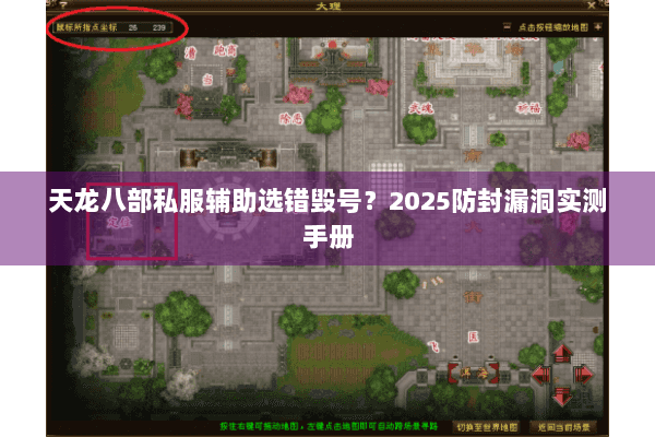 天龙八部私服辅助选错毁号？2025防封漏洞实测手册