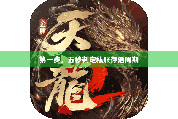 第一步,五秒判定私服存活周期 第一步,五秒判定私服存活周期