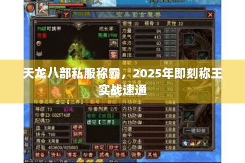 天龙八部私服称霸,2025年即刻称王实战速通 天龙八部私服称霸,2025年即刻称王实战速通