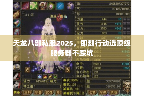 天龙八部私服2025，即刻行动选顶级服务器不踩坑