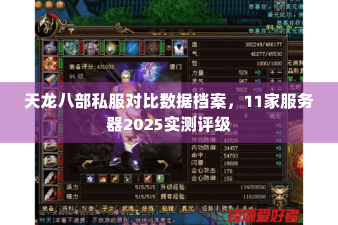 天龙八部私服对比数据档案，11家服务器2025实测评级