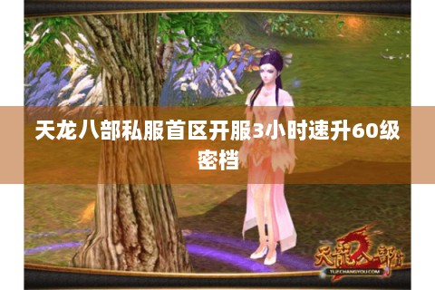天龙八部私服首区开服3小时速升60级密档