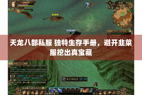 天龙八部私服 独特生存手册,避开韭菜服挖出真宝藏 天龙八部私服 独特生存手册,避开韭菜服挖出真宝藏