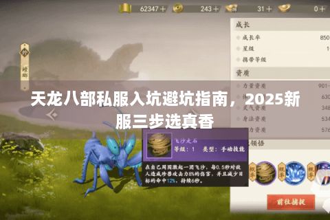 天龙八部私服入坑避坑指南,2025新服三步选真香 天龙八部私服入坑避坑指南,2025新服三步选真香