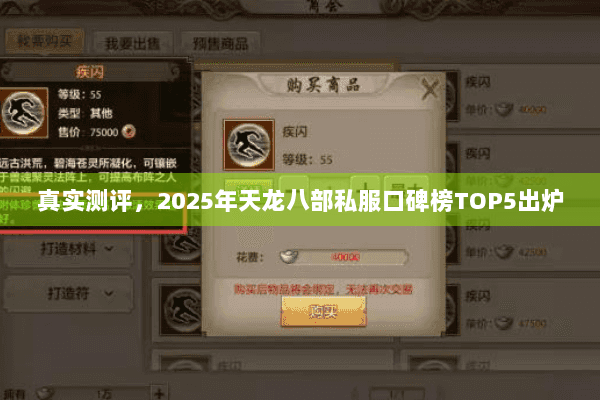 真实测评，2025年天龙八部私服口碑榜TOP5出炉