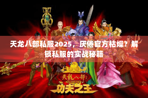 天龙八部私服2025，厌倦官方枯燥？解锁私服的实战秘籍