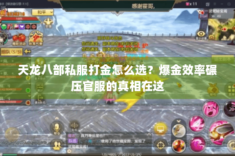 天龙八部私服打金怎么选？爆金效率碾压官服的真相在这