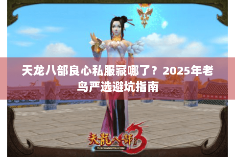 天龙八部良心私服藏哪了？2025年老鸟严选避坑指南
