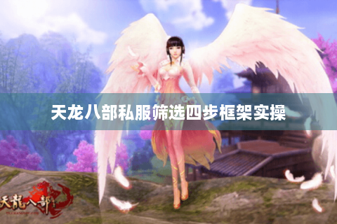 天龙八部私服筛选四步框架实操