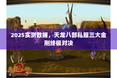 2025实测数据,天龙八部私服三大金刚终极对决 2025实测数据,天龙八部私服三大金刚终极对决