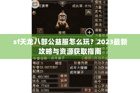 sf天龙八部公益服怎么玩？2023最新攻略与资源获取指南