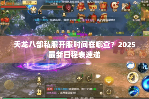 天龙八部私服开服时间在哪查？2025最新日程表速递