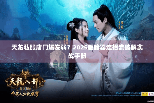 天龙私服唐门爆发弱?2025版暗器连招流破解实战手册 天龙私服唐门爆发弱?2025版暗器连招流破解实战手册