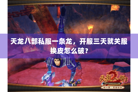 天龙八部私服一条龙,开服三天就关服换皮怎么破? 天龙八部私服一条龙,开服三天就关服换皮怎么破?
