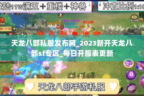 天龙八部私服发布网_2023新开天龙八部sf专区_每日开服表更新