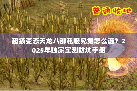 超级变态天龙八部私服究竟怎么选?2025年独家实测防坑手册 超级变态天龙八部私服究竟怎么选?2025年独家实测防坑手册