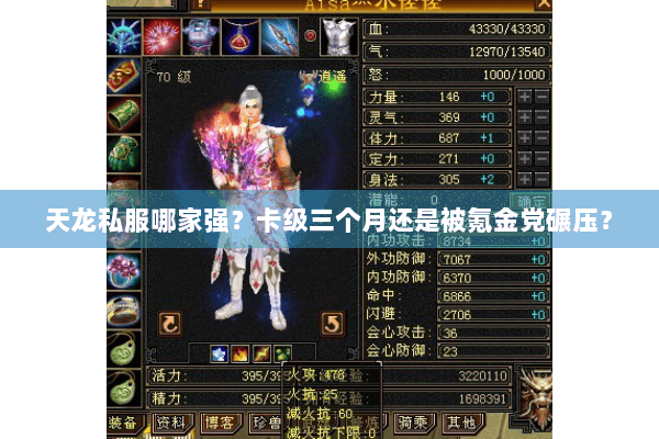 天龙私服哪家强？卡级三个月还是被氪金党碾压？