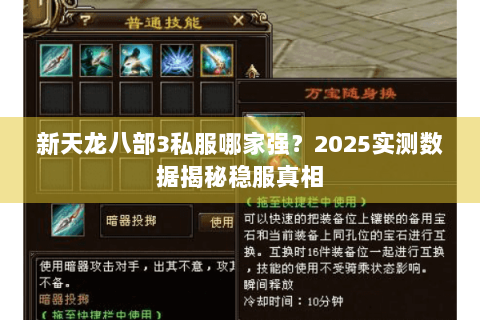 新天龙八部3私服哪家强？2025实测数据揭秘稳服真相