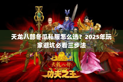 天龙八部冬瓜私服怎么选？2025年玩家避坑必看三步法