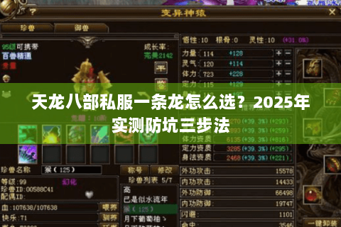 天龙八部私服一条龙怎么选?2025年实测防坑三步法 天龙八部私服一条龙怎么选?2025年实测防坑三步法