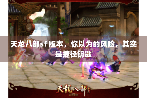天龙八部sf 版本,你以为的风险,其实是捷径钥匙 天龙八部sf 版本,你以为的风险,其实是捷径钥匙