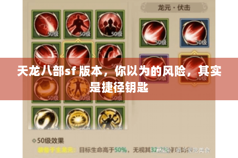 天龙八部sf 版本,你以为的风险,其实是捷径钥匙 天龙八部sf 版本,你以为的风险,其实是捷径钥匙