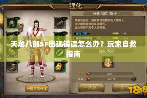 天龙八部SF出现错误怎么办？玩家自救指南