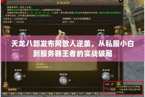 天龙八部发布网散人逆袭，从私服小白到服务器王者的实战破局