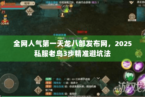 全网人气第一天龙八部发布网，2025私服老鸟3步精准避坑法