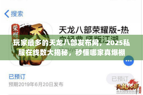 玩家最多的天龙八部发布网,2025私服在线数大揭秘,秒懂哪家真爆棚 玩家最多的天龙八部发布网,2025私服在线数大揭秘,秒懂哪家真爆棚
