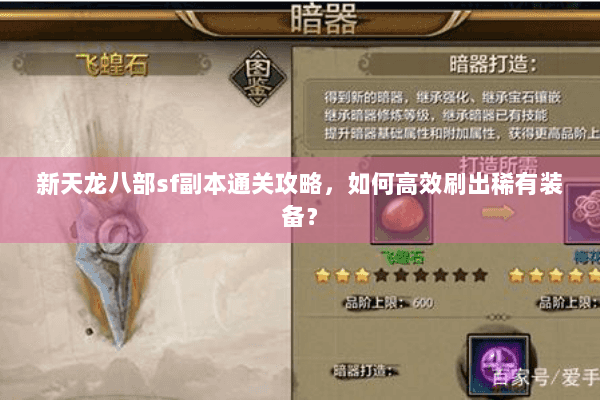 新天龙八部sf副本通关攻略，如何高效刷出稀有装备？