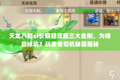 天龙八部sf长期稳定服三大金刚，为啥总掉坑？玩家老司机秘籍揭秘