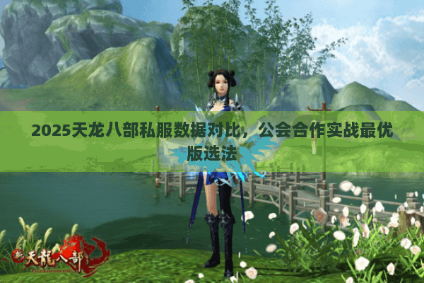 2025天龙八部私服数据对比,公会合作实战最优版选法 2025天龙八部私服数据对比,公会合作实战最优版选法