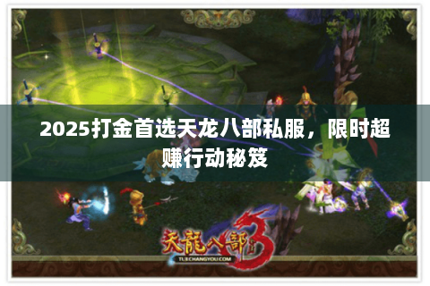 2025打金首选天龙八部私服，限时超赚行动秘笈